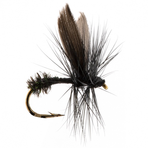The Essential Fly Black Ant Dry Hackled Fishing Fly